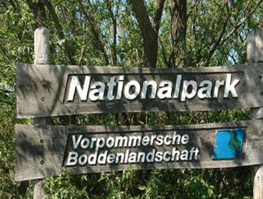 Zingst_2010